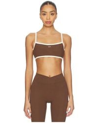 437 - The Micro Sports Bra - Lyst