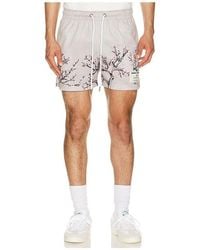 Ryoko Rain - Cherry Blossom Shorts - Lyst