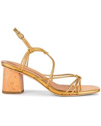joie padmini sandal