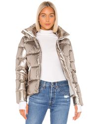 Sam. Plumífero taylor - Multicolor