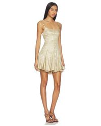 alice mccall don't be shy dress gold Don't Be Shy Dress