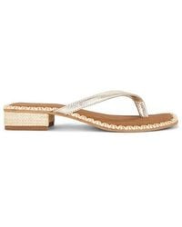 Dolce Vita - Barty Sandal - Lyst