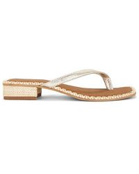 Dolce Vita - Barty Sandal - Lyst