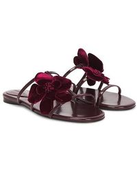 Zimmermann - Orchid Slide - Lyst