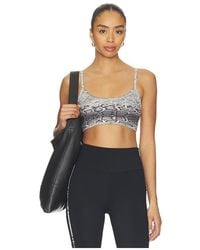 Strut-this - The Cher Sports Bra - Lyst