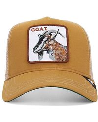 Goorin Bros - The Goat Hat - Lyst