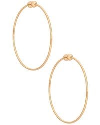 Jenny Bird - Icon Large Hoop Earrings - Lyst