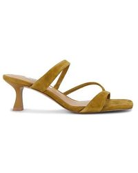 Steve Madden - Ajay Sandal - Lyst