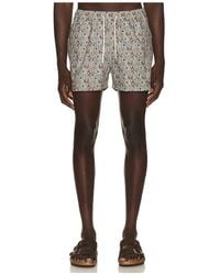 Edmmond Studios - Wildlife Swim Shorts - Lyst