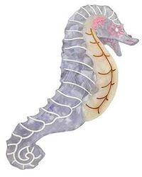Solar Eclipse - Hand-Painted Seahorse Claw Hair Clip - Lyst