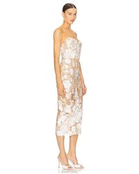 Bronx and Banco Saba Lace And Tulle Midi Dress in Black | Lyst