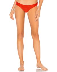 Acacia Swimwear Ho Okipa Mesh Bikini Bottom - Multicolor