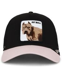 Goorin Bros - The Pitbull Trucker Hat - Lyst