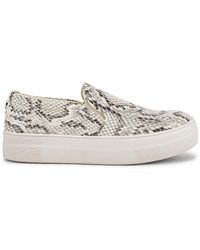 steve madden snakeskin gills