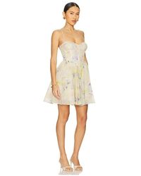 gray plus size mini dress Plus Size