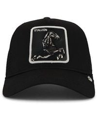 Goorin Bros - Stallion Trucker Hat - Lyst