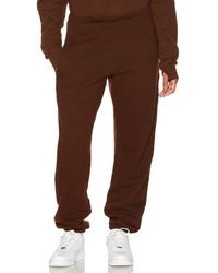 Strut-this Enzo Jogger - Brown