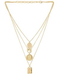 Amber Sceats Ожерелье В Цвете Золотой - Металлик