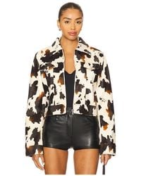 superdown - Leah Cow Print Jacket - Lyst