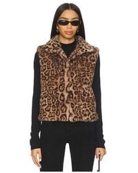 Adrienne Landau - Printed Rabbit Vest - Lyst