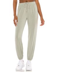 Sundry スウェットパンツ - マルチカラー