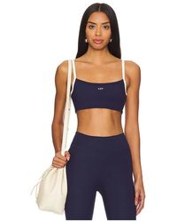 437 - The Micro Bra - Lyst