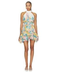 Elliatt - Clementina Halter Neck Fit And Flare Mini Dress - Lyst