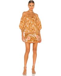 lioness tunic dress