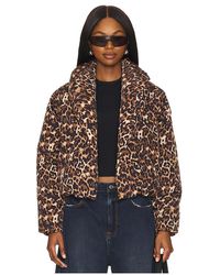 Steve Madden - Jacke Evy - Lyst