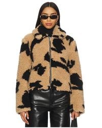 MSGM - Follow The Rabbit Jacket - Lyst