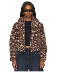 Steve Madden - Evy Jacket - Lyst