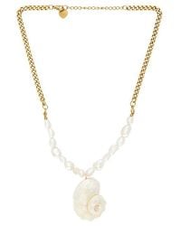 Lovers + Friends - Eden Shell Necklace - Lyst