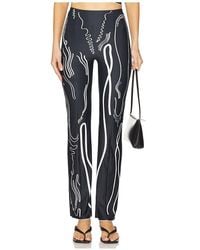 DI PETSA - Hose Venus Shell Lycra - Lyst