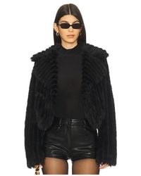 Show Me Your Mumu - Salt Lake City Cropped Jacket - Lyst