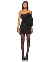 AMUR - Minikleid Legacy Rosette - Lyst