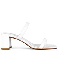 by far tanya mule