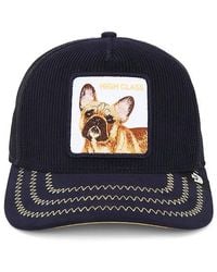 Goorin Bros - High Class Remix Trucker Hat - Lyst