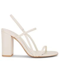 RAYE - Amit Sandal - Lyst