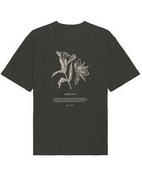 Samsøe & Samsøe - Camiseta En Color Gris Talla (También En M, Xl/1X) - Lyst