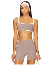437 - The Micro Bra - Lyst