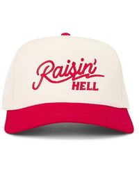 Friday Feelin - Raisin Hell Hat - Lyst