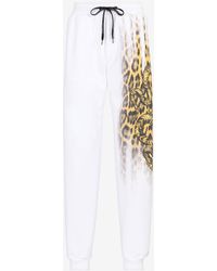 Roberto Cavalli Animal Print Cotton Track Pants for Men Lyst UK