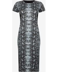 Roberto Cavalli - Snake Print Midi Dress - Lyst