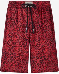 Roberto Cavalli - Pantalones Cortos Con Estampado Jaguar Skin - Lyst