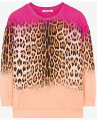Roberto Cavalli - Sweatshirt aus baumwolle mit jaguar-print - Lyst