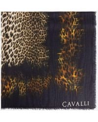 Roberto Cavalli Scarves and mufflers for Women - Up to 60% off | Lyst