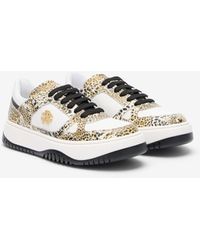 Roberto Cavalli - Leopard Print Sneaker With Monogram Rc - Lyst