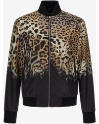 Roberto Cavalli - Jaguar Skin Print Bomber Jacket - Lyst