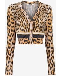 Roberto Cavalli - Leopard-Print Cropped Cardigan - Lyst