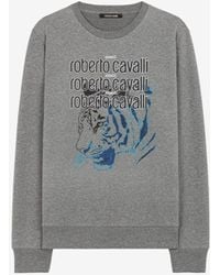 Roberto Cavalli - Sweatshirt aus baumwolle mit logo und tiger-print - Lyst